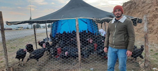 Kahramanmaraş’ın Pazarcık İlçesi Büyüknacar Mahallesi 3 yıldır hindi yetiştiriciliği yapan