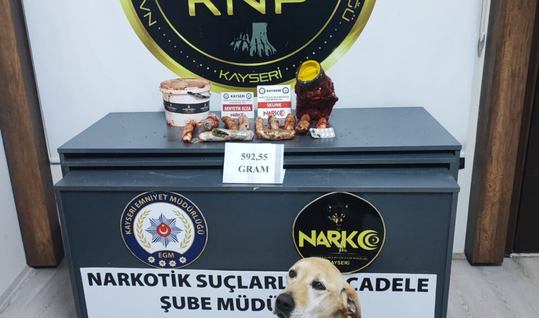Nuray UZATMAZ/KAYSERİ, – KAYSERİ’de polisin düzenlediği operasyonda narkotik köpeği Jack