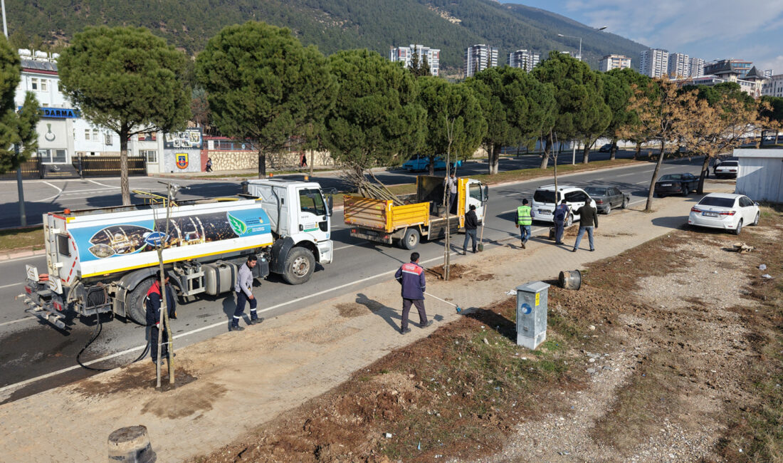 Büyükşehir Belediyesi, şehir merkezinde zamanla kuruyan, doğal ömrünü tamamlayan ya