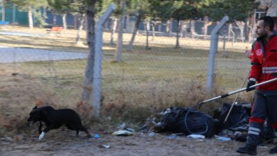 Samed Aydın SUN-Ramazan KÖSEDAĞ/KAYSERİ, – KAYSERİ’de sevmek istediği başıboş köpeğin
