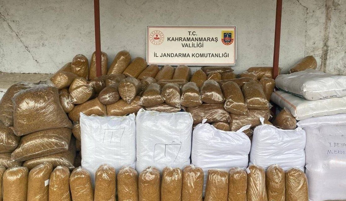Kahramanmaraş’ta jandarma ekipleri tarafından yapılan denetimlerde 253 kişi yakalandı. 