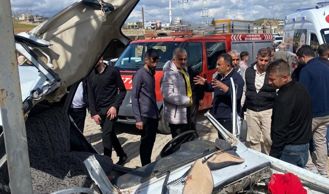 Mustafa ÖNDOĞAN/BESNİ (Adıyaman), – ADIYAMAN’ın Besni ilçesinde, aydınlatma direğine çarpan