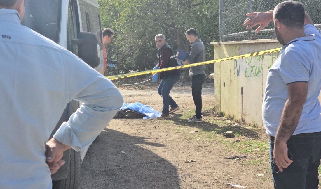 Ali GÖKDAL/KOZAN (Adana), – ADANA’nın Kozan ilçesinde şakalaştığı arkadaşlarının yola