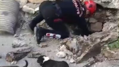 Kahramanmaraş’ın Dulkadiroğlu ilçesine bağlı Bahçelievler Mahallesi’nde, terkedilmiş bir su giderine