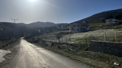 ‘KÖPEKLER SAHİPLİ, ÇOBAN KÖPEĞİYDİ’ Kayseri’nin Sarız ilçesi Gümüşali Mahallesi’nde çoban
