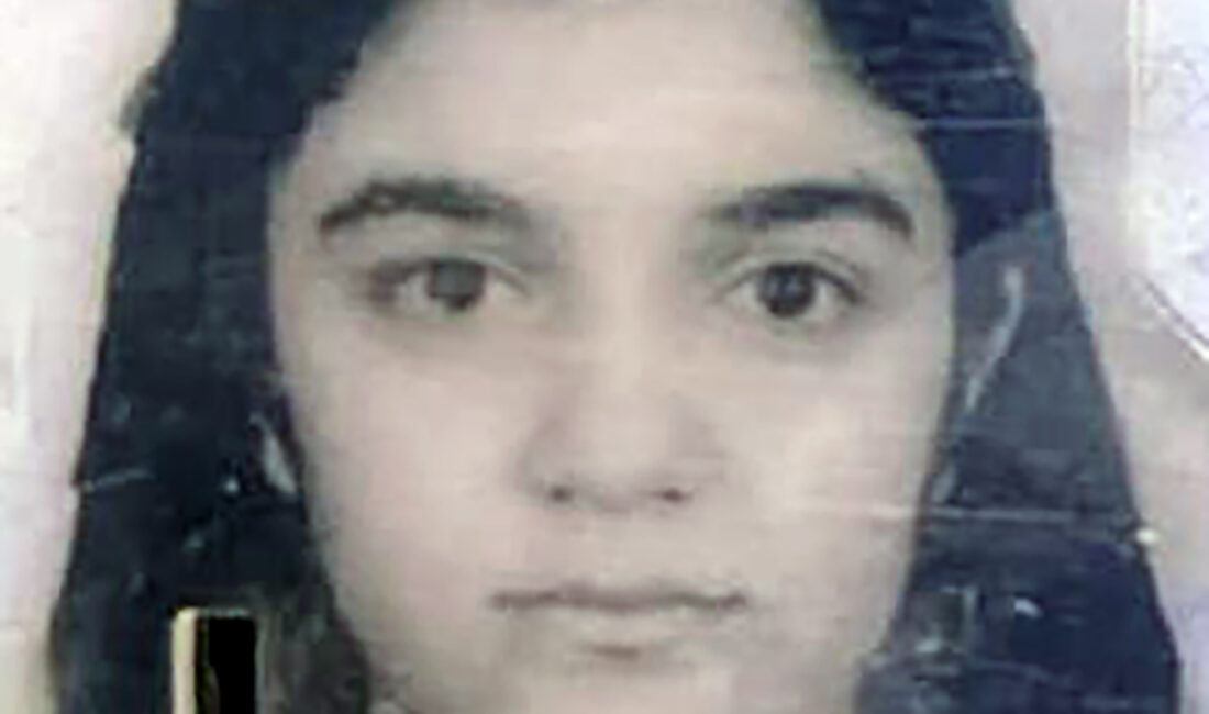 Anıl ATAR-Yaşar SERİNTÜRK/ADANA, – ADANA’da Portakal Çiçeği Karnavalı’na giderken özel