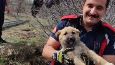 KAYSERİ, -KAYSERİ’de yaklaşık 5 metrelik su kuyusuna düşen yavru köpek,