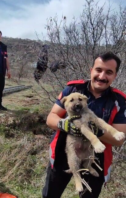 KAYSERİ, -KAYSERİ’de yaklaşık 5 metrelik su kuyusuna düşen yavru köpek,