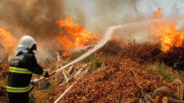 Büyükşehir Belediyesi İtfaiyesi, Kasım ayında; 64 araç ve 385 personelle