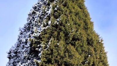 Kahramanmaraş’ın Andırın ilçesinde, doğal yapısı ve sağlık açısından sunduğu faydalarla