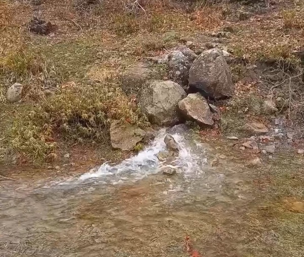 Kahramanmaraş’ın Andırın ilçesine bağlı Yeşilyurt Mahallesi Darıderesi mevkiinde, son günlerde