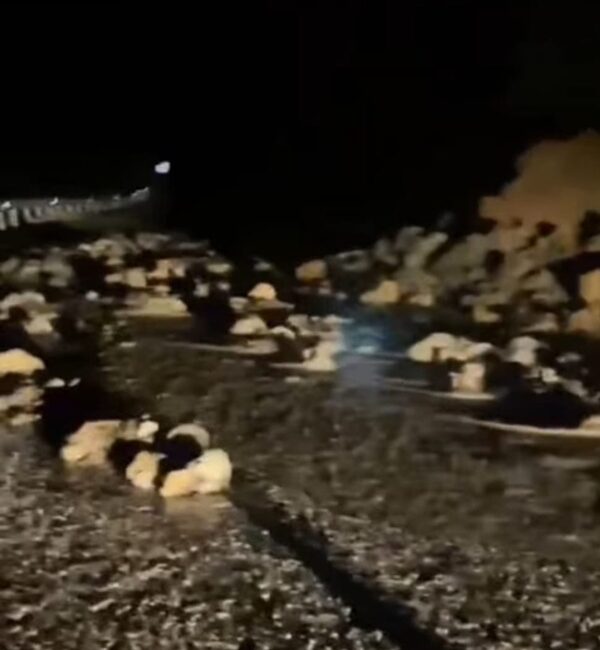 Kahramanmaraş'ın  Andırın ilçesinde etkili olan sağanak yağış, hayatı olumsuz