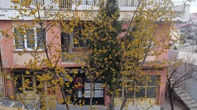 Kahramanmaraş’ın doğa harikası ilçesi Andırın, baharı kızılcık ağaçlarının göz kamaştıran