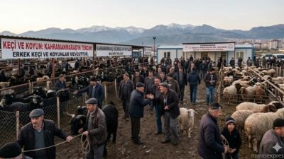 Şap hastalığı ve sevkiyat kısıtlamaları Kahramanmaraş’ta kurban piyasasını vurdu; gözler
