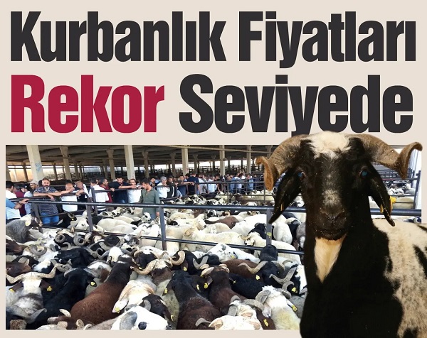 Kurban Bayramı yaklaşırken Kahramanmaraş’ta kurbanlık fiyatları netlik kazandı. 2026 yılı