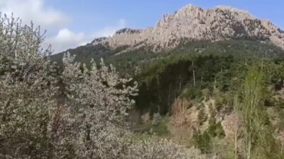 Andırın’ın yüksek kesimlerinde yer alan Çığşar Yaylası, bugünlerde görenleri büyüleyen
