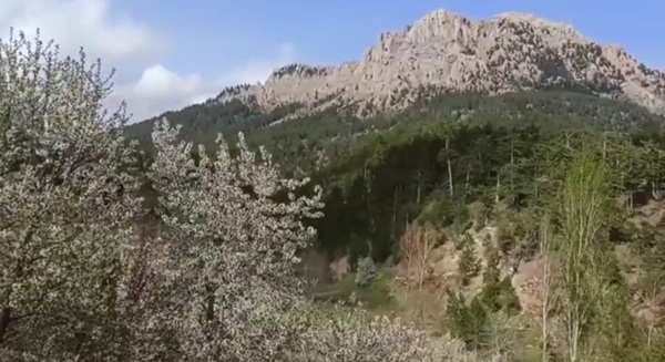 Andırın’ın yüksek kesimlerinde yer alan Çığşar Yaylası, bugünlerde görenleri büyüleyen