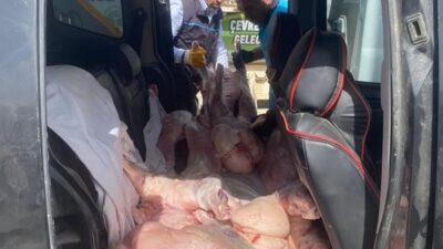 Kahramanmaraş’ta sağlığımızla oynamaya kalkan, temizlik ve hijyen kurallarını hiçe sayan