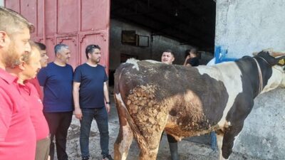 Kahramanmaraşlıların merakla beklediği kurban pazarları kapılarını açtı, borsa alanlarında hareketlilik