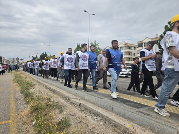 Türkiye endüstriyel madencilik sektörünün istihdam ve çalışma hukuku boyutunda kronikleşen