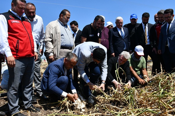 Kahramanmaraş’ın tarımsal makroekonomik hinterlandında ve bitkisel üretim projeksiyonlarında lokomotif bir