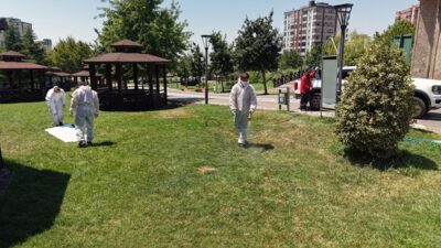 Kahramanmaraş Büyükşehir Belediyesi, yaz mevsiminde halk sağlığını tehdit eden kene