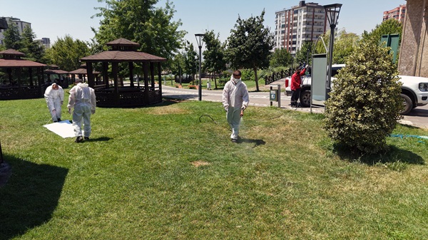 Kahramanmaraş Büyükşehir Belediyesi, yaz mevsiminde halk sağlığını tehdit eden kene