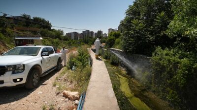 Kahramanmaraş genelinde mevsimsel sıcaklık eğrilerine bağlı olarak popülasyonu artan haşere