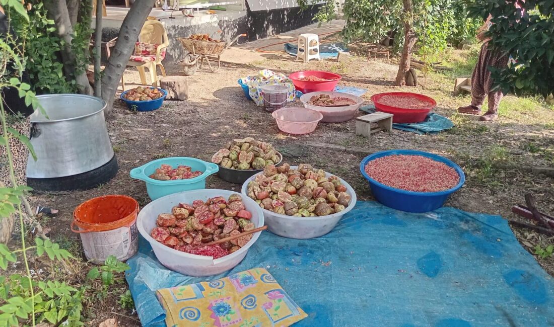 Kahramanmaraş’ın Andırın ilçesi Yeşilova Mahallesi’nde, sonbaharın gelmesiyle birlikte doğal yöntemlerle