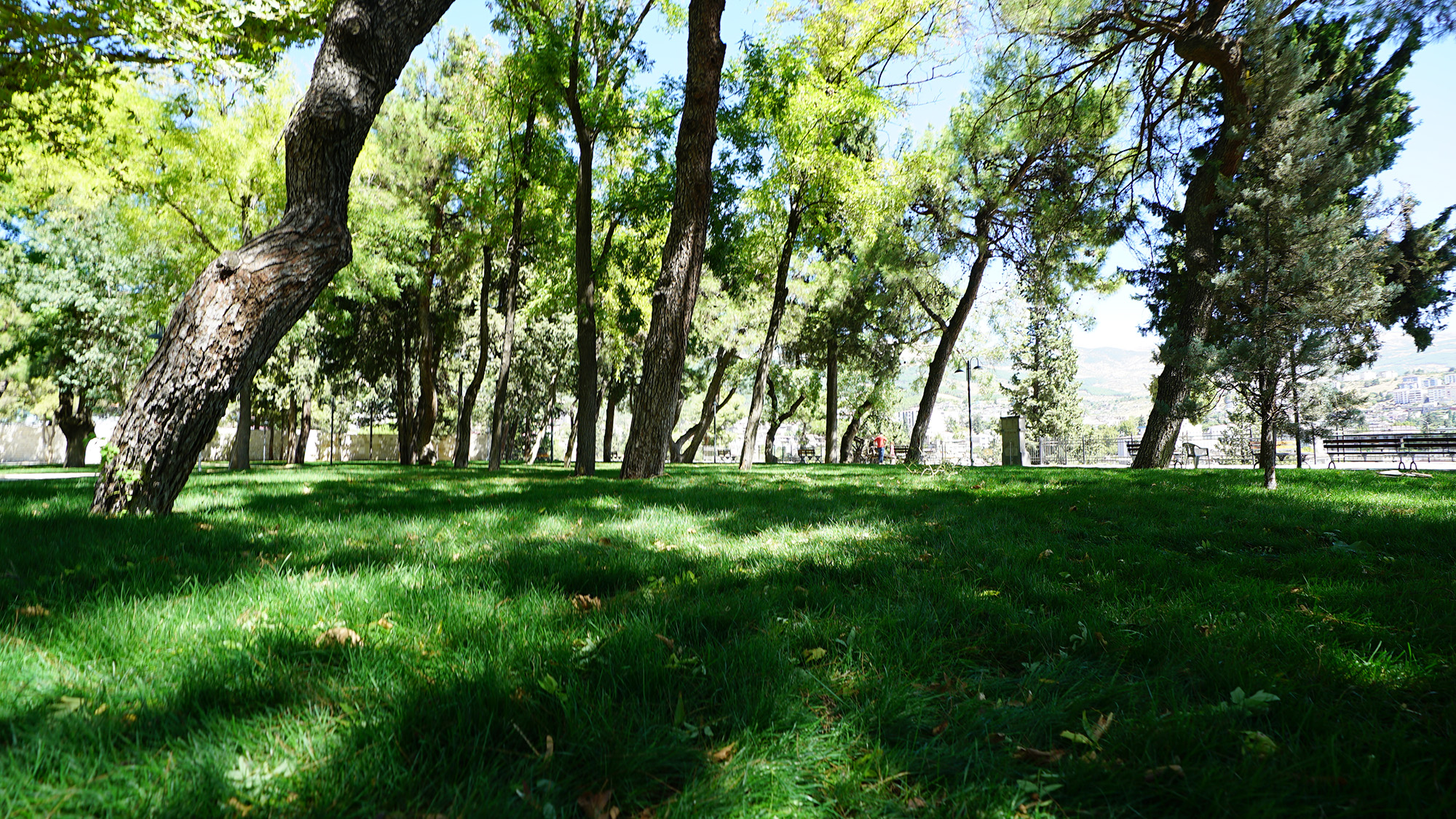 Büyükşehir Belediyesi ile Kültür ve Turizm Bakanlığı iş birliğinde Tarihi