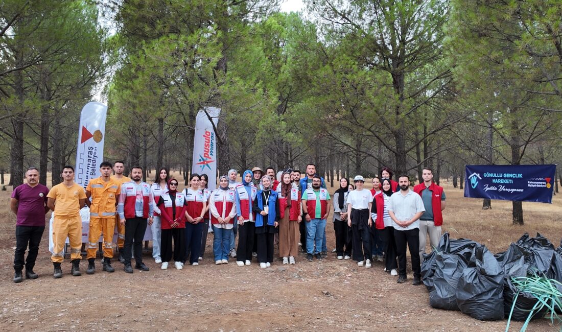 Büyükşehir Belediyesi, Haydi Yapalım Derneği (Let’s Do It Türkiye), Gönüllü