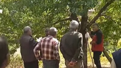 Dünyaca ünlü Çığşar kirazının rekolte ve kalitesini artırmayı hedefleyen Kahramanmaraş
