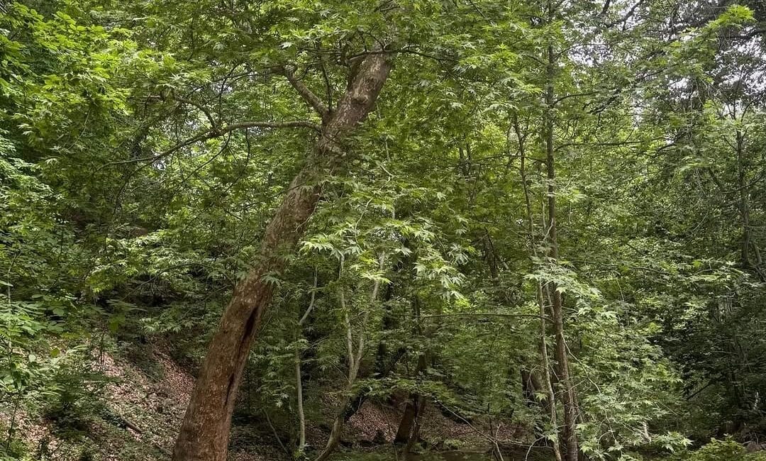 Kahramanmaraş’ın doğa harikası ilçesi Andırın, el değmemiş güzellikleriyle doğaseverleri büyülemeye