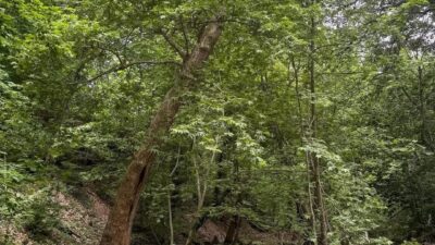 Kahramanmaraş’ın doğa harikası ilçesi Andırın, el değmemiş güzellikleriyle doğaseverleri büyülemeye