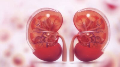 Böbrek temizliğiyle toksinlerden kurtulmaya çalışan birçok insanı dinledim ve kendi